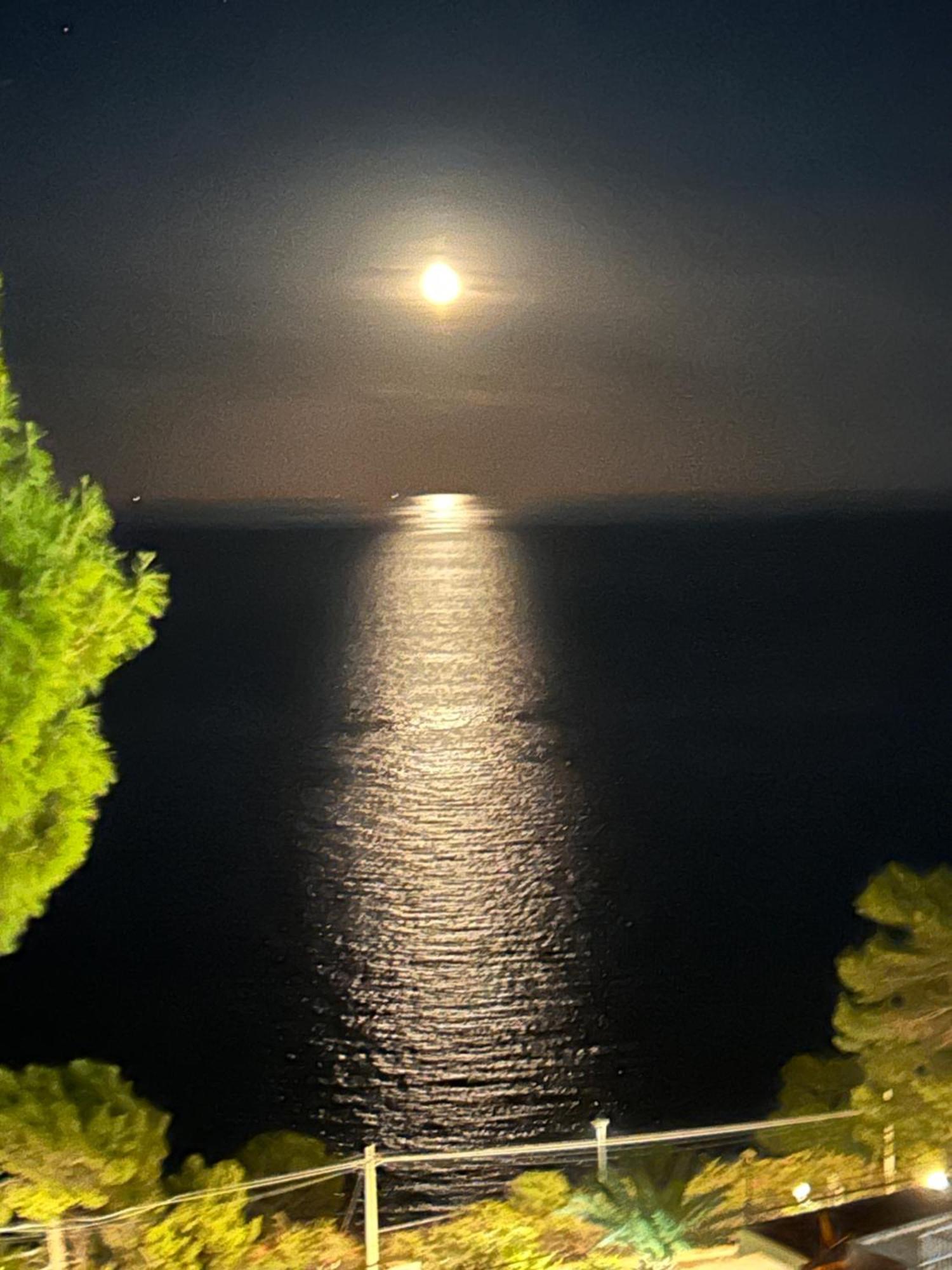 Mondello Addaura Addisio Suite Palermo Bagian luar foto